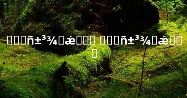 ���񱳾�ǽ��� ���񱳾�ǽ���